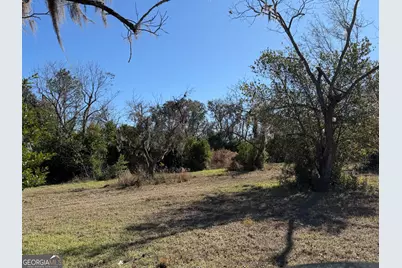 174 Baskins Road, Lakeland, GA 31635 - Photo 5