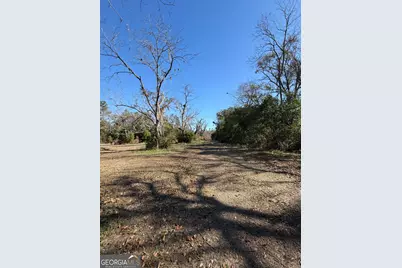 174 Baskins Road, Lakeland, GA 31635 - Photo 3