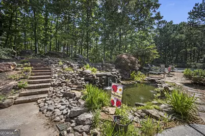 10 Clydesdale Trail, White, GA 30184 - Photo 67