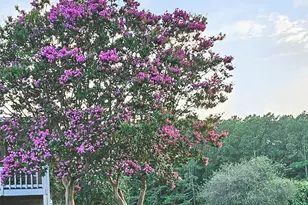 2433 McGarity Rd, McDonough, GA 30252 - Photo 47