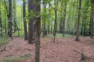 0 Old Southwick Pass, Johns Creek, GA 30022 - Photo 59