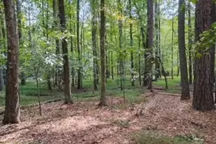 0 Old Southwick Pass, Johns Creek, GA 30022 - Photo 61