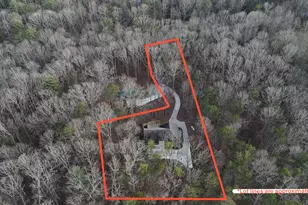 1615 Ben T Huiet Hwy Sr-255 Alt, Clarkesville, GA 30523 - Photo 3