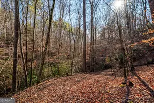 411 Gunite Cir, Ellijay, GA 30540 - Photo 63