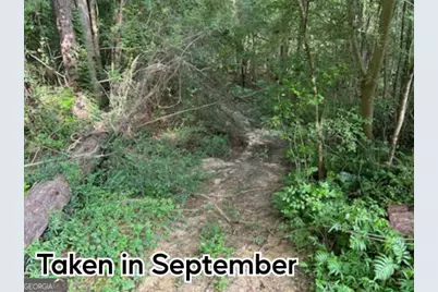 0 River Road, Warm Springs, GA 31830 - Photo 7