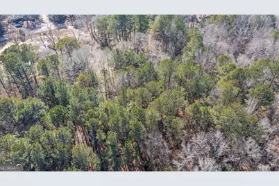 0 River Road, Warm Springs, GA 31830 - Photo 17