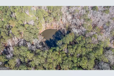 0 River Road, Warm Springs, GA 31830 - Photo 11