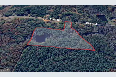 0 River Road, Warm Springs, GA 31830 - Photo 5