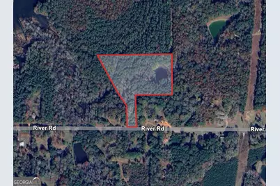 0 River Road, Warm Springs, GA 31830 - Photo 3