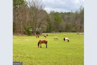 3622 Sandy Ford Road, Clayton, GA 30525 - Photo 171