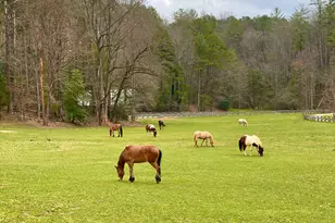 3622 Sandy Ford Rd, Clayton, GA 30525 - Photo 171