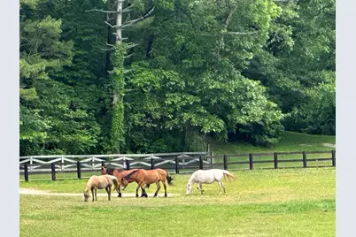 3622 Sandy Ford Road, Clayton, GA 30525 - Photo 119