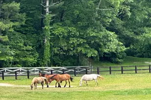 3622 Sandy Ford Rd, Clayton, GA 30525 - Photo 119