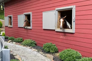 3622 Sandy Ford Rd, Clayton, GA 30525 - Photo 3