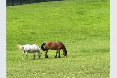 3622 Sandy Ford Road, Clayton, GA 30525 - Photo 121