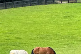 3622 Sandy Ford Rd, Clayton, GA 30525 - Photo 5