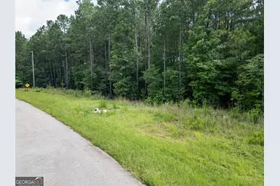 171 Preservation Drive, Jackson, GA 30233 - Photo 3