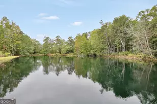 686 Burkett Rd, Thomaston, GA 30286 - Photo 67