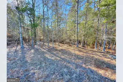 0 Salem Lot 3 Road #LOT 3, Pine Mountain, GA 31822 - Photo 7