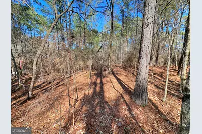 0 Salem Lot 3 Road #LOT 3, Pine Mountain, GA 31822 - Photo 5