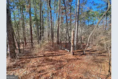 0 Salem Lot 3 Road #LOT 3, Pine Mountain, GA 31822 - Photo 3