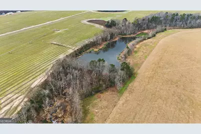 2368 Ogeechee Road, Sylvania, GA 30467 - Photo 11