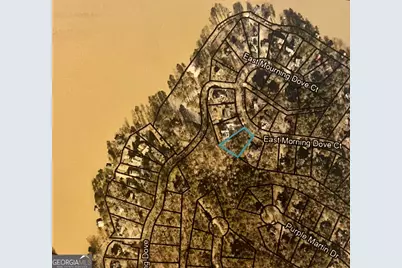 0 E Mourning Dove Court #LOT 50, Monticello, GA 31064 - Photo 1