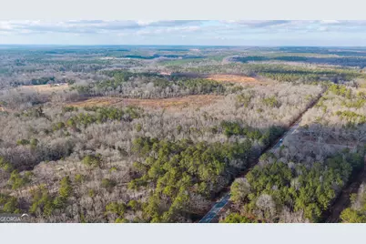 1761 E H Snow Road, Mcintyre, GA 31054 - Photo 9