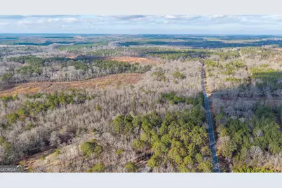 1761 E H Snow Road, Mcintyre, GA 31054 - Photo 5