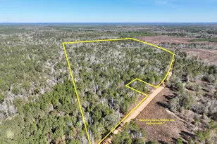 0 Rentz Rd, Dublin, GA 31021 - Photo 1