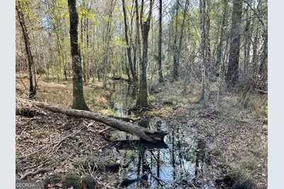 0 Rentz Road, Dublin, GA 31021 - Photo 41