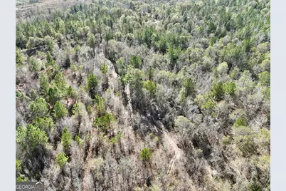 0 Rentz Road, Dublin, GA 31021 - Photo 5