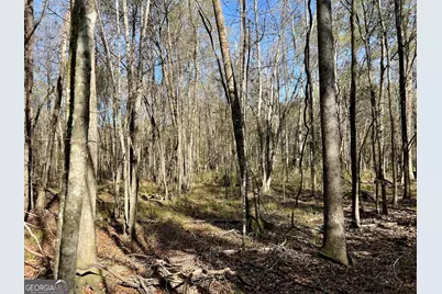 0 Rentz Road, Dublin, GA 31021 - Photo 37