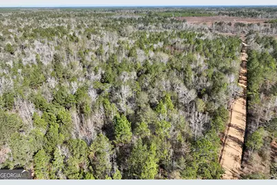 0 Rentz Road, Dublin, GA 31021 - Photo 15
