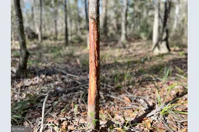 0 Rentz Road, Dublin, GA 31021 - Photo 7