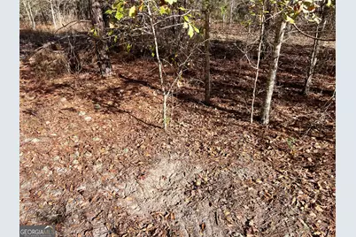 0 Rentz Road, Dublin, GA 31021 - Photo 47