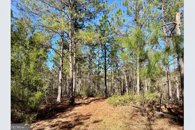 0 Rentz Road, Dublin, GA 31021 - Photo 27