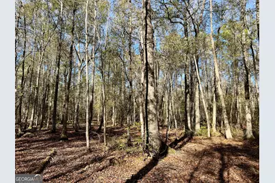 0 Rentz Road, Dublin, GA 31021 - Photo 35