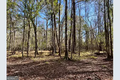 0 Rentz Road, Dublin, GA 31021 - Photo 45