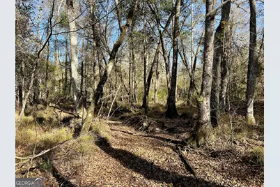 0 Rentz Road, Dublin, GA 31021 - Photo 29