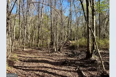 0 Rentz Road, Dublin, GA 31021 - Photo 39