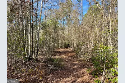 0 Rentz Road, Dublin, GA 31021 - Photo 33