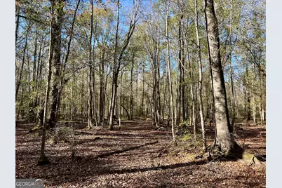 0 Rentz Road, Dublin, GA 31021 - Photo 9