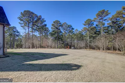 65 Fox Hall Crossing West, Senoia, GA 30276 - Photo 59