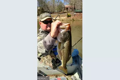 19 Yogi Bear Boulevard #B29, Cleveland, GA 30528 - Photo 59