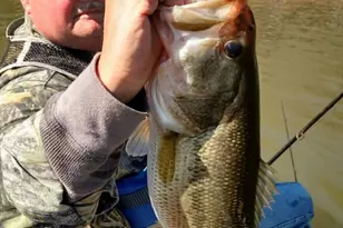 19 Yogi Bear Blvd, Cleveland, GA 30528 - Photo 59