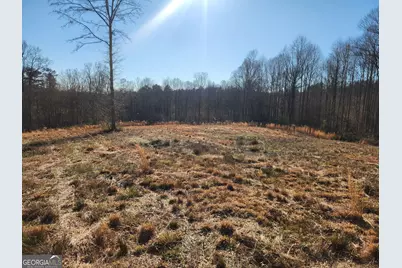 0 Highway 106 - 20 Acres, Eastanollee, GA 30538 - Photo 7