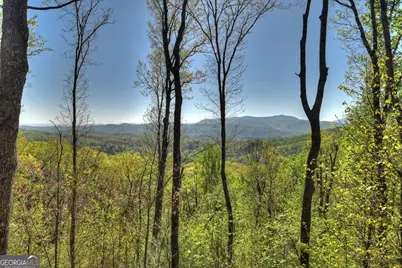 783 Moreland Drive N, Cherrylog, GA 30522 - Photo 27