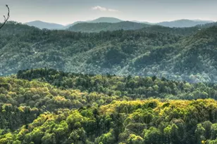 783 Moreland Dr N, Cherrylog, GA 30522 - Photo 13