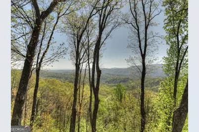 783 Moreland Drive N, Cherrylog, GA 30522 - Photo 11